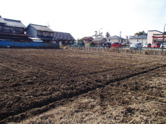 大垣メダカ畑